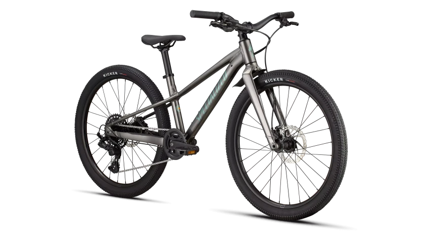 Specialized Riprock 24, Gloss Smoke / Fjord Metallic, 2026 