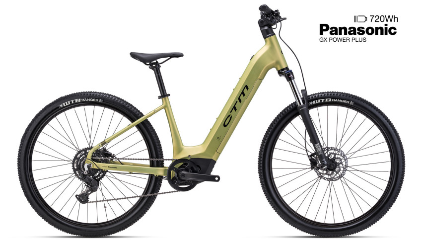 CTM ROXXY GX - Matte Gold M (16), 2026 