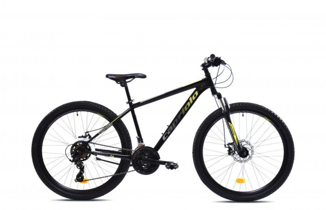 CAPRIOLO OXYGEN 26 - S,  blackgreen, 2025 
