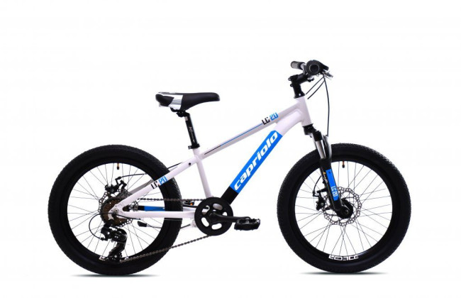 CAPRIOLO MTB LC 20"/AL, szary, 2025 